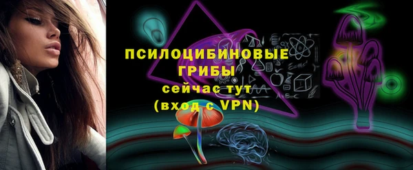 гашик Нефтекумск