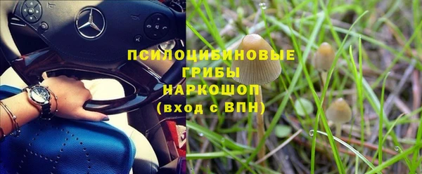 гашик Нефтекумск