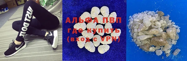 гашик Нефтекумск
