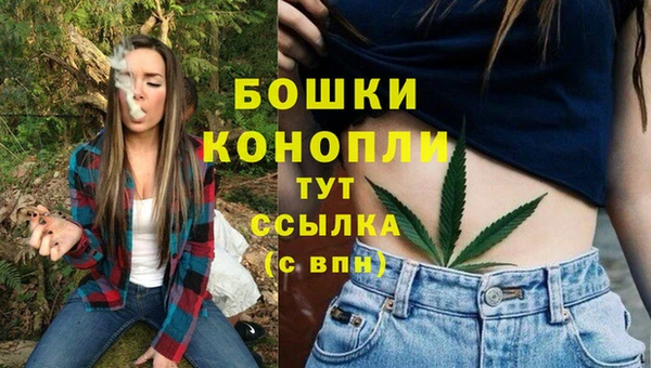 гашик Нефтекумск