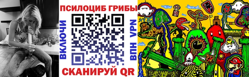 продажа наркотиков  Курильск  Псилоцибиновые грибы мухоморы 